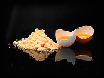 EGG POWDER