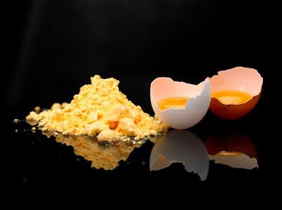 Stabilizowane żółtko jaj kurzych w proszku z dodatkami i bez