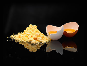 Hen egg yolk powder heat-stable